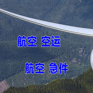 高崎空运代理快递-选东方航空和上海航空