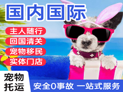 高崎空运代理国际宠物托运 【国
